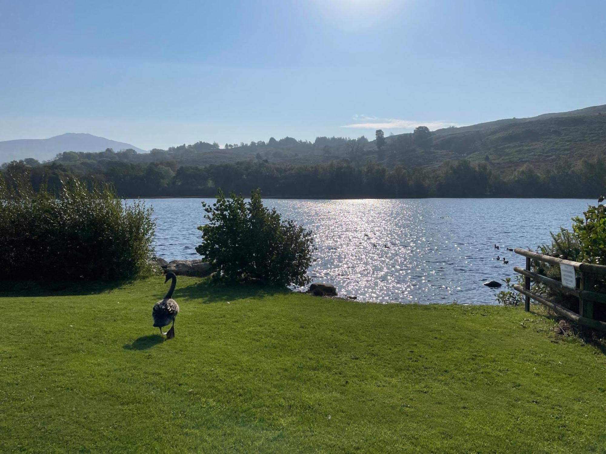 Вилла No 61 Brynteg Country & Leisure Retreat Cwm-y-glo Экстерьер фото